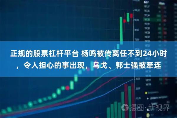 正规的股票杠杆平台 杨鸣被传离任不到24小时，令人担心的事出现，乌戈、郭士强被牵连