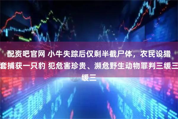 配资吧官网 小牛失踪后仅剩半截尸体，农民设猎套捕获一只豹 犯危害珍贵、濒危野生动物罪判三缓三