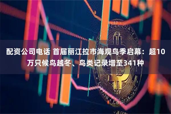 配资公司电话 首届丽江拉市海观鸟季启幕：超10万只候鸟越冬、鸟类记录增至341种